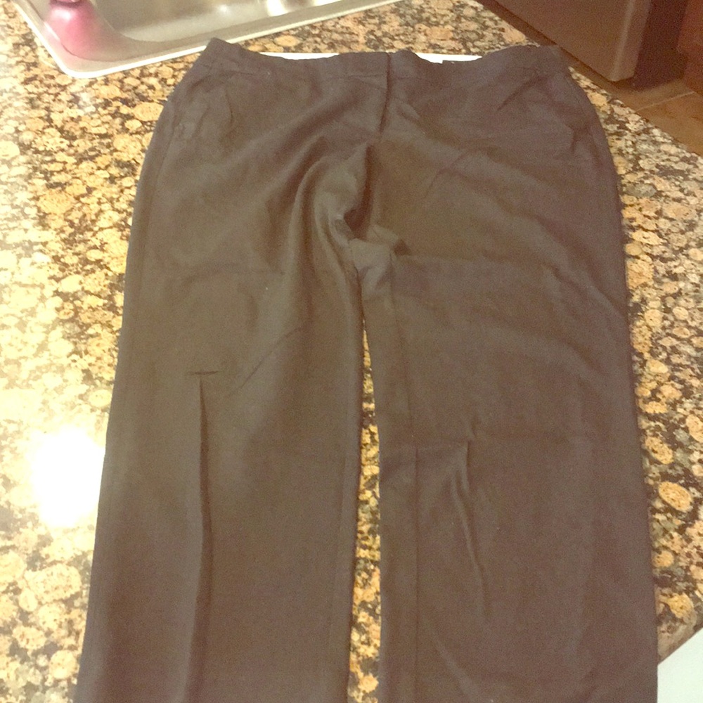 Size 14 Julie LOFT work pants